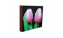 กรอบลอยสำหรับภาพถ่ายดอกไม้